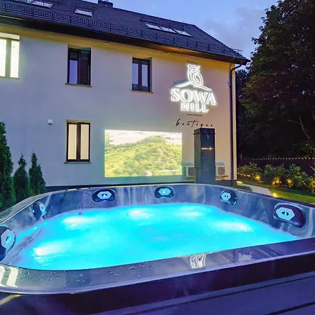 Sowa Hill Z Balia, Jacuzzi I Sauna, Gory Sowie Blisko Wielkiej Sowy Penzion
